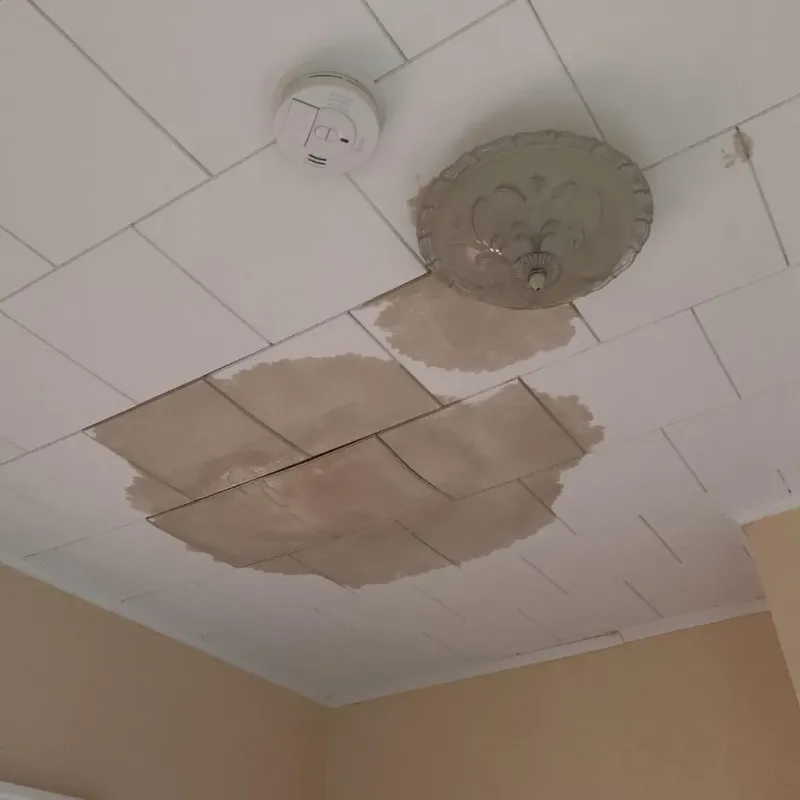 Ceiling Water Damage Repair in Salina, KS