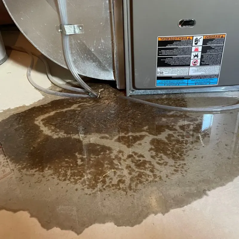 Pipe Burst and Leak Restoration in Salina, KS