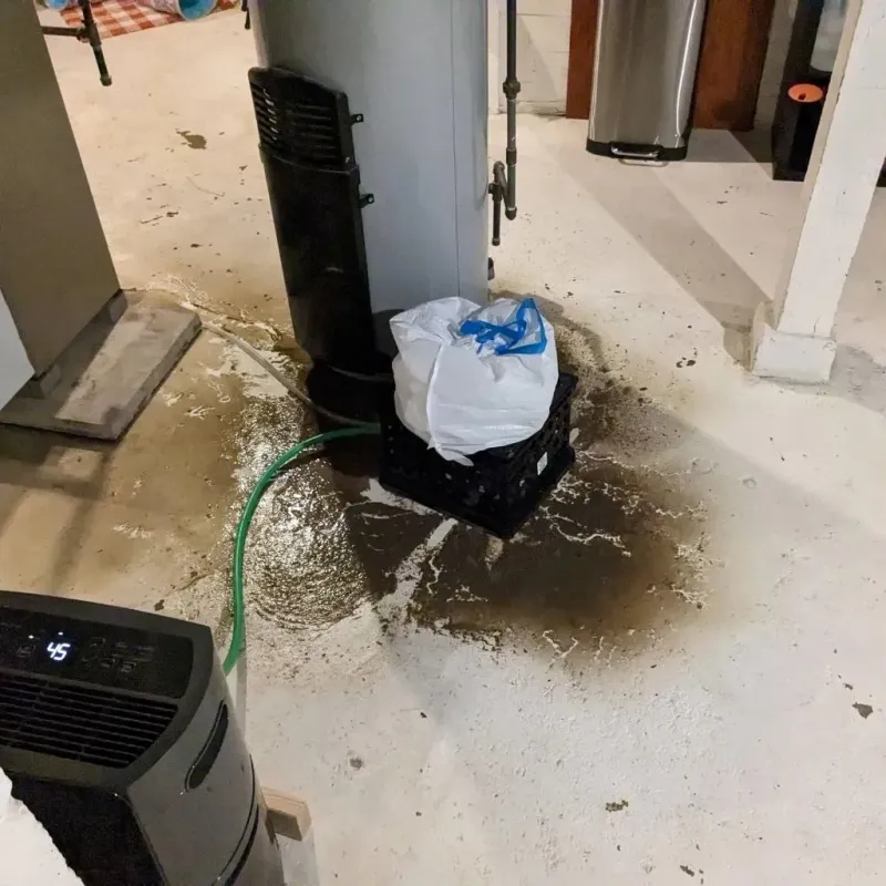 Sewage Backup Cleanup Service in Salina, KS